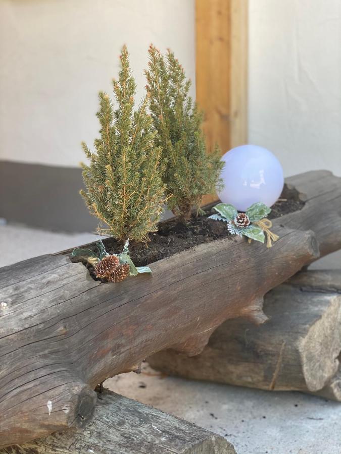 Ferienwohnung Natururlaub Muggenbrunn Todtnau Zewnętrze zdjęcie