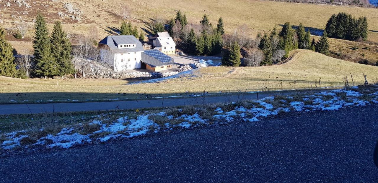 Ferienwohnung Natururlaub Muggenbrunn Todtnau Zewnętrze zdjęcie