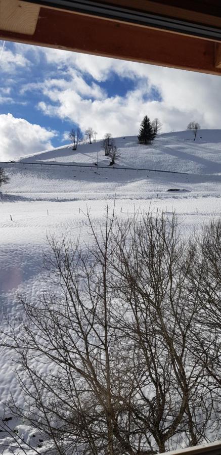 Ferienwohnung Natururlaub Muggenbrunn Todtnau Zewnętrze zdjęcie