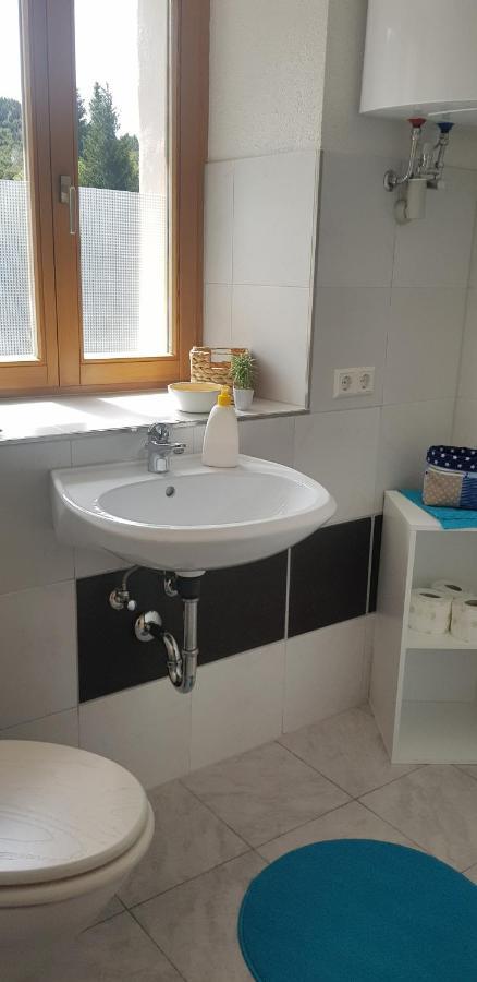 Ferienwohnung Natururlaub Muggenbrunn Todtnau Zewnętrze zdjęcie