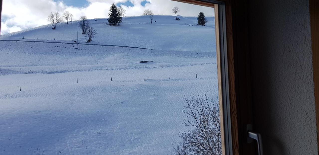 Ferienwohnung Natururlaub Muggenbrunn Todtnau Zewnętrze zdjęcie